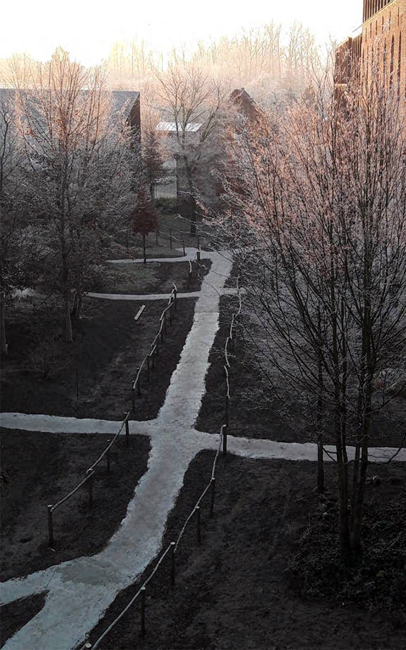 Inspired by the Mother Earth