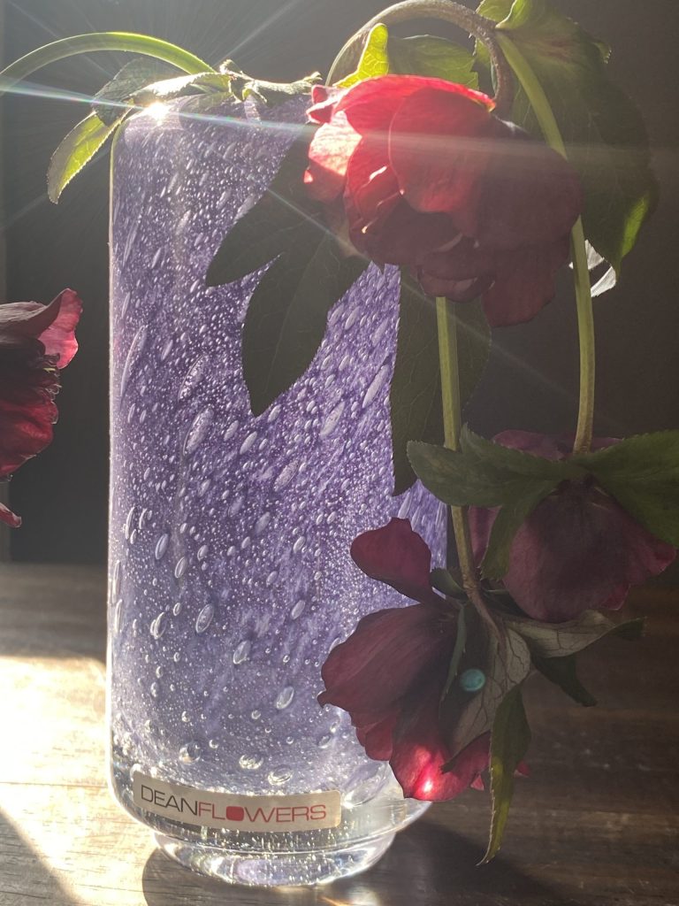 フラワーベースが入荷しました